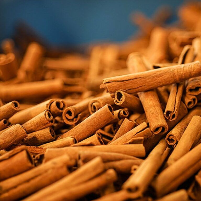 Eterično olje skorja cimeta - Cinnamomum zeylanicum