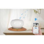 aromatski difuzor Artemida