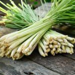 Florihana eterično olje limonske trave - lemongrass