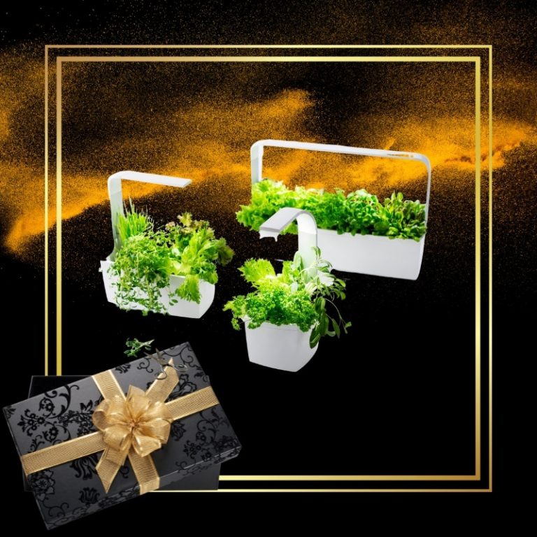 pametni-vrt-tregren-t6-bel-3 Tregren pametni kuhinjski vrt T6