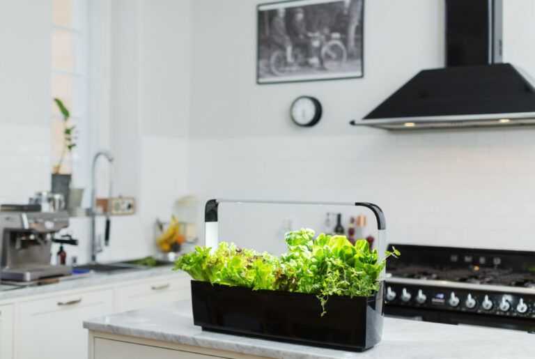 Tregren pametni kuhinjski vrt T12