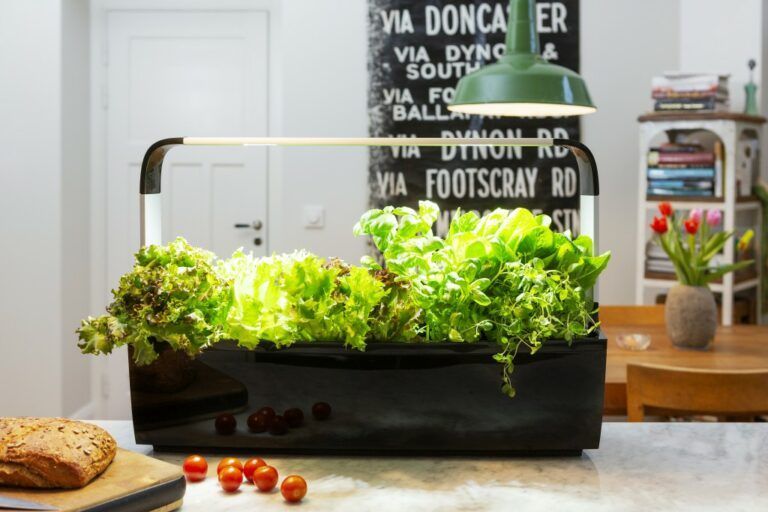 Tregren pametni kuhinjski vrt T12