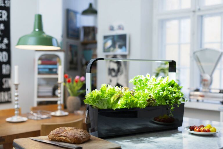 Tregren pametni kuhinjski vrt T12