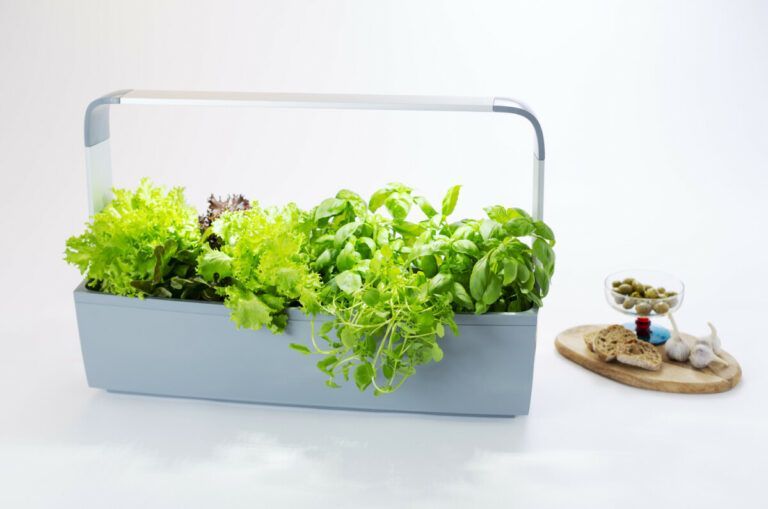 Tregren pametni kuhinjski vrt T12