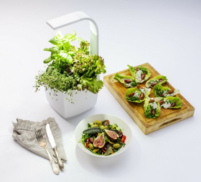 Tregren pametni kuhinjski vrt T3