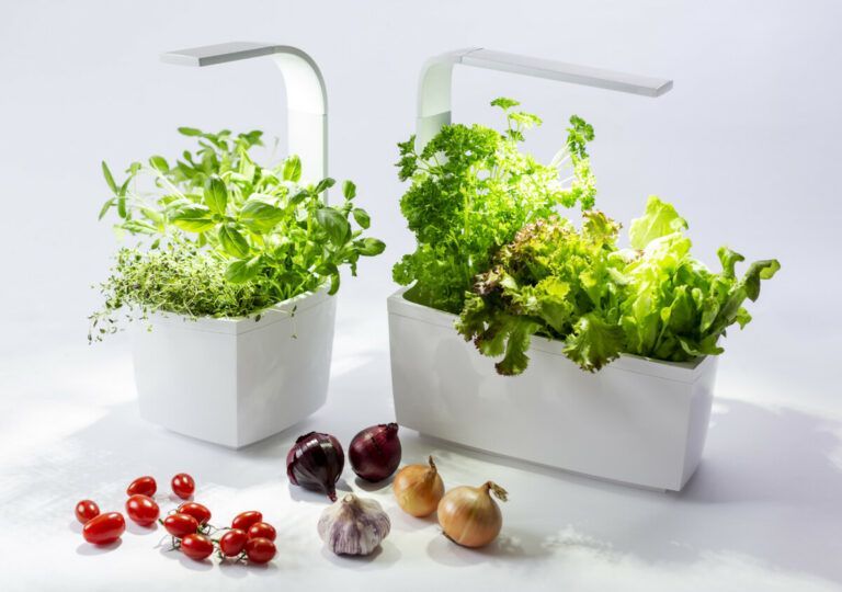 Tregren pametni kuhinjski vrt T3