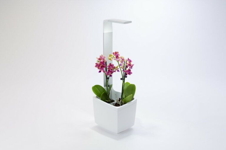 Tregren pametni kuhinjski vrt T3