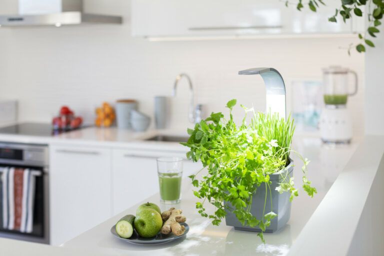 Tregren pametni kuhinjski vrt T3