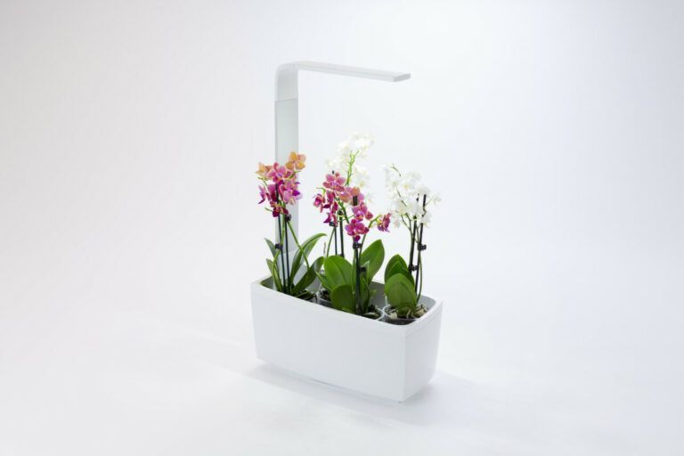 Tregren pametni kuhinjski vrt T6