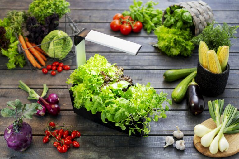 Tregren pametni kuhinjski vrt T6