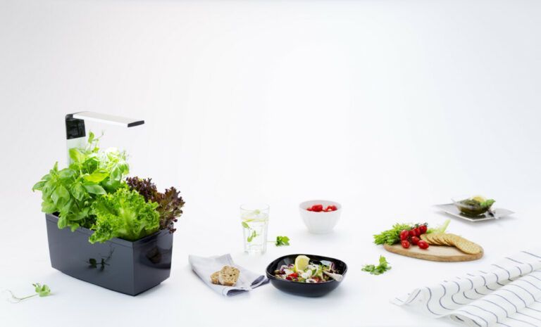 Tregren pametni kuhinjski vrt T6