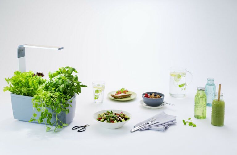 Tregren pametni kuhinjski vrt T6