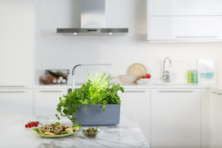 Tregren pametni kuhinjski vrt T6