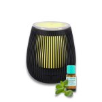 Aromaterapevtski USB difuzor Afrodita + etrično olje poprove mete