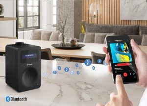 Digitalni radio SHARP DR430BK | PIRO spletna trgovina