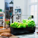 Pametni kuhinjski vrtiček T12 z zelišči