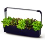 Pametni kuhinjski vrtiček T12 z zelišči