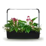 Pametni kuhinjski vrtiček T12 z rožami