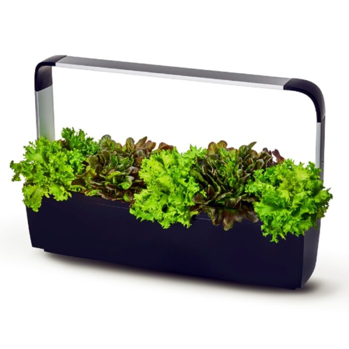 Pametni kuhinjski vrtiček T12- črn Pametni kuhinjski vrtiček T12 z zelišči