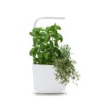 Pametni kuhinjski vrtiček T3 z zelišči