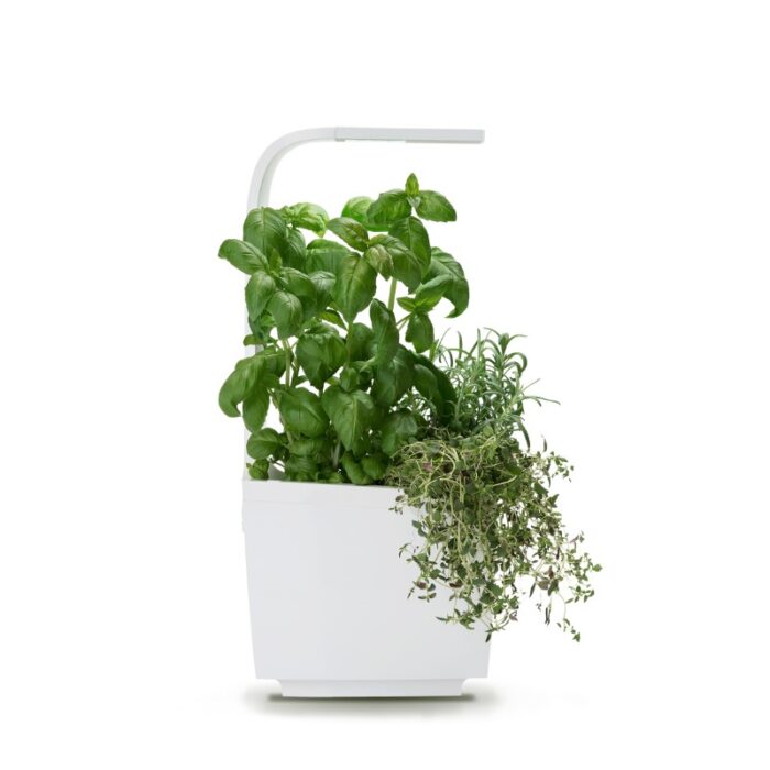 Pametni kuhinjski vrtiček T3 z zelišči