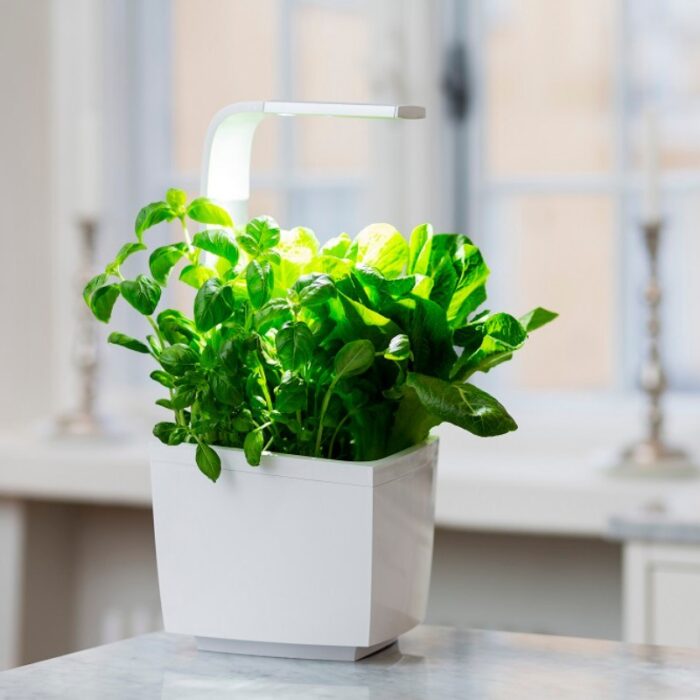 Pametni kuhinjski vrtiček T3 z zelišči