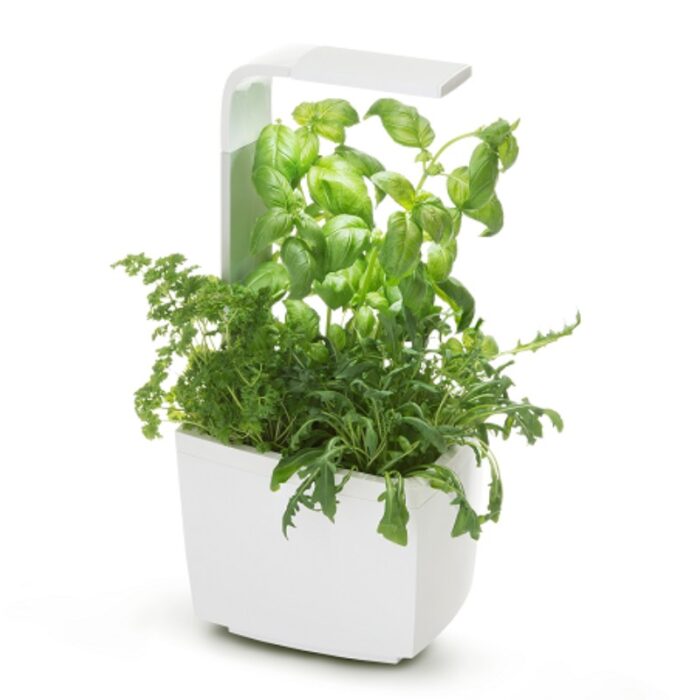 Pametni kuhinjski vrtiček T3 z zelišči