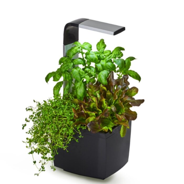 Pametni kuhinjski vrtiček T3 - črn Pametni kuhinjski vrtiček T3