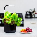 Pametni kuhinjski vrtiček T3 z zelišči