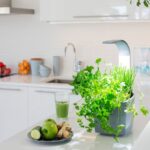 Pametni kuhinjski vrtiček T3 z zelišči