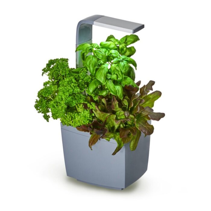 Pametni kuhinjski vrtiček T3 -siv Pametni kuhinjski vrtiček T3 z zelišči