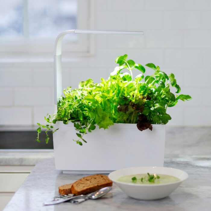 Pametni kuhinjski vrtiček T6 z zelišči