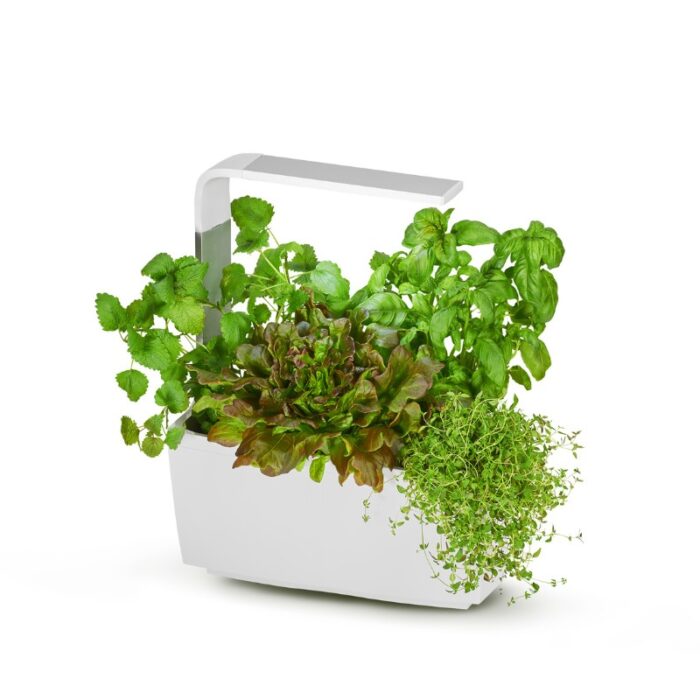 Pametni kuhinjski vrtiček T6 z zelišči