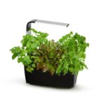 Pametni kuhinjski vrtiček T6 z zelišči