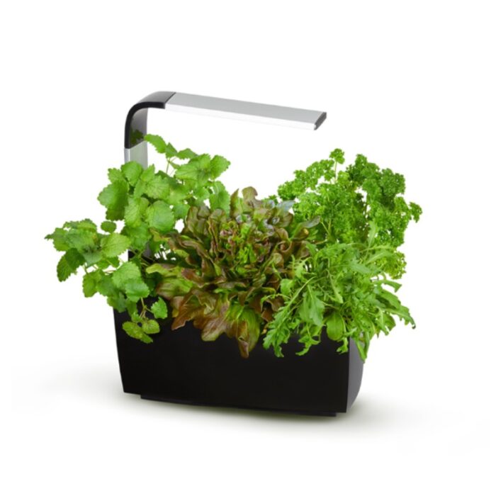 Pametni kuhinjski vrtiček T6 - črn Pametni kuhinjski vrtiček T6 z zelišči