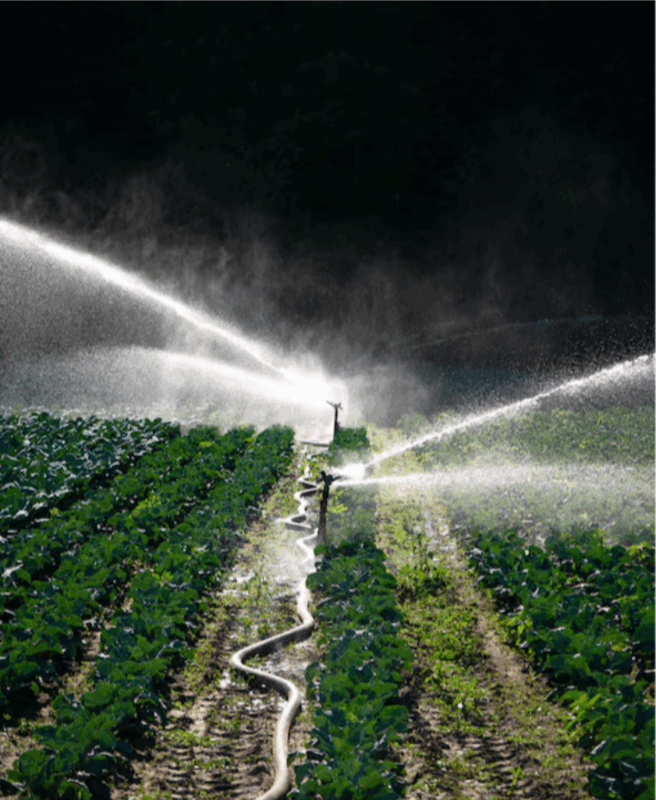 čiščenje namakalnega sistema