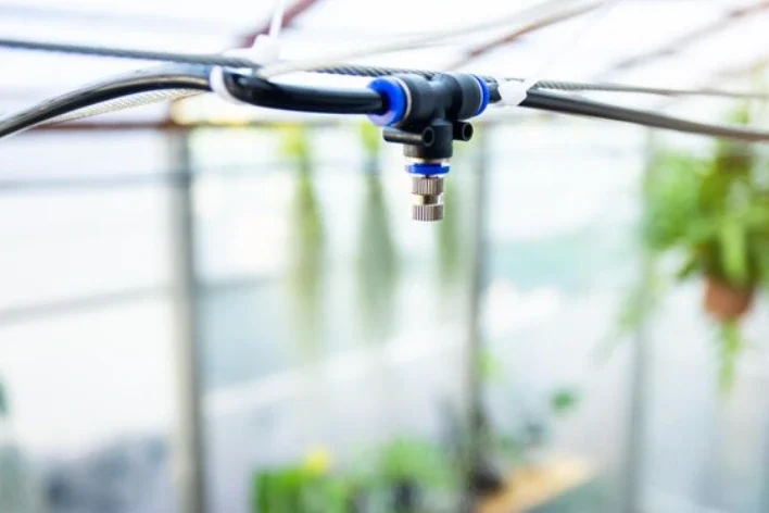 mini rastljinjak namakanje