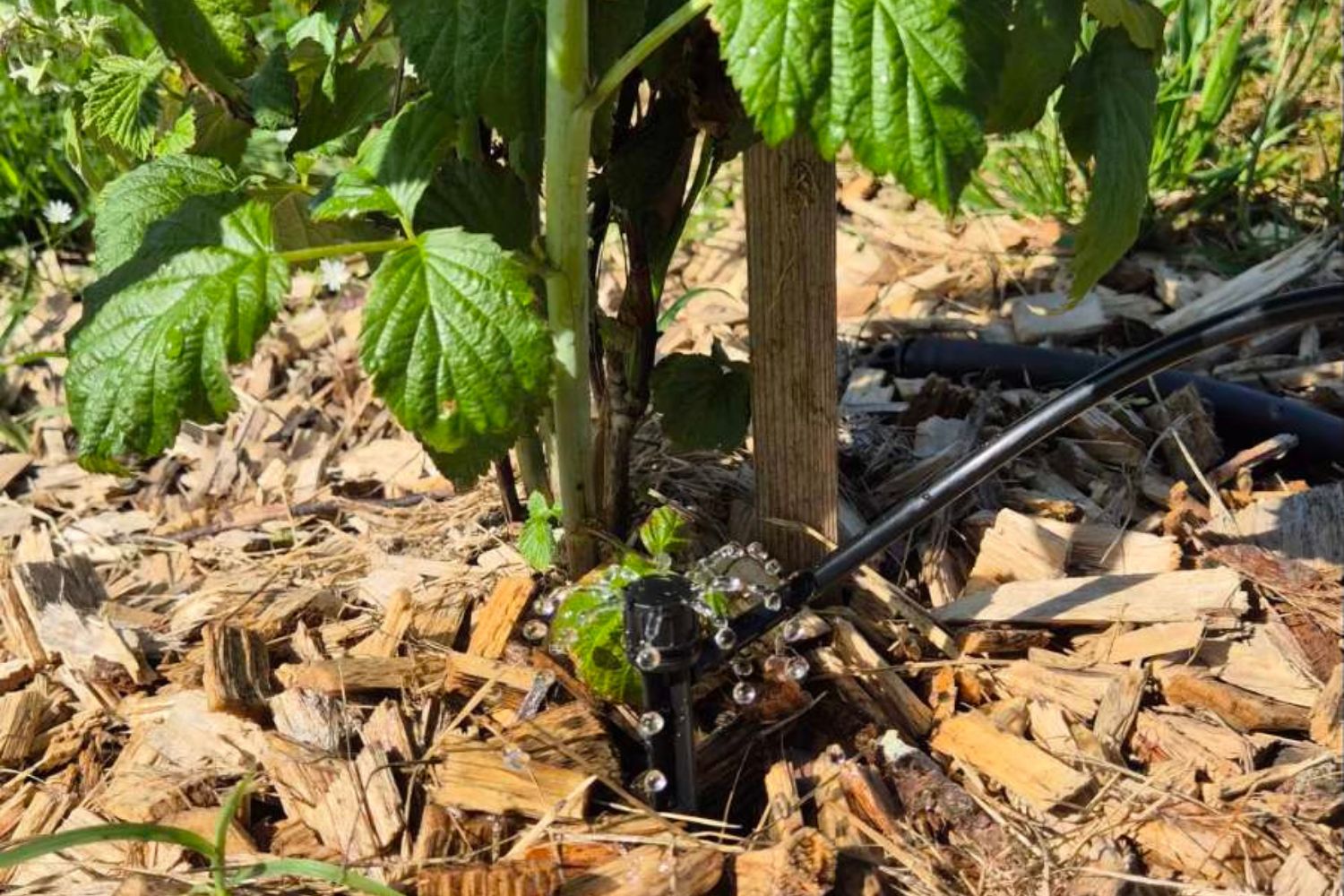 orodja in kompleti za začetnike pri namakanju