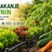 namakanje vrtnin